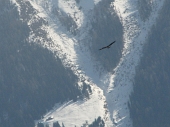 ATTRAVERSO LA VAL SANGUIGNO FINO IN CRESTA ALLA COSTA DI CORNA ROSSA sabato 5 marzo 2011 - FOTOGALLERY